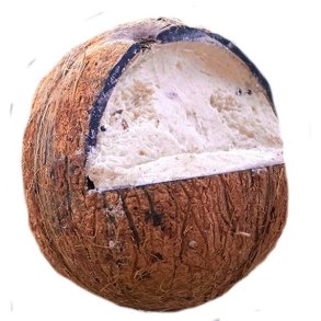 Care bird Filled Coconut 350g