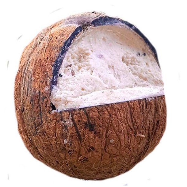 Care bird Filled Coconut 350g